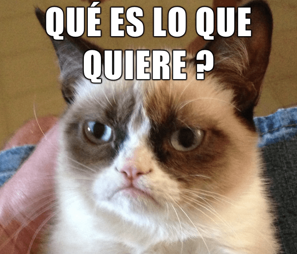 Ofertas Competitivas en AdWords