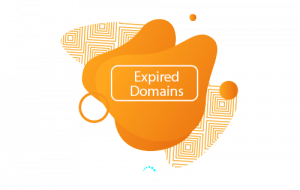 Expired Domains